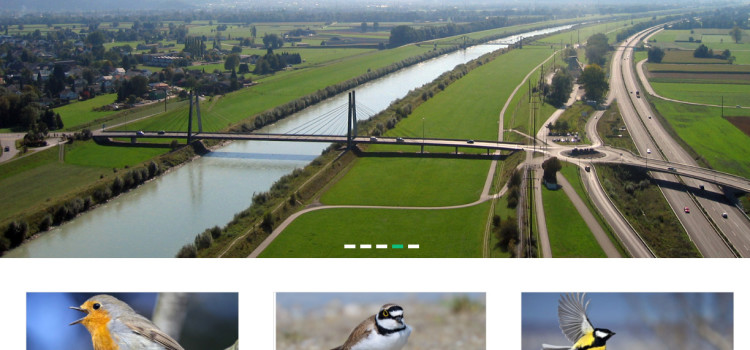 Neue Website online Neue Website online